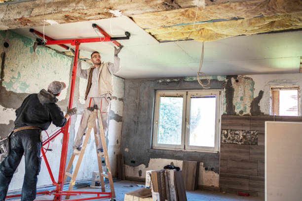 Best Cellulose Insulation in Caoncito, NM