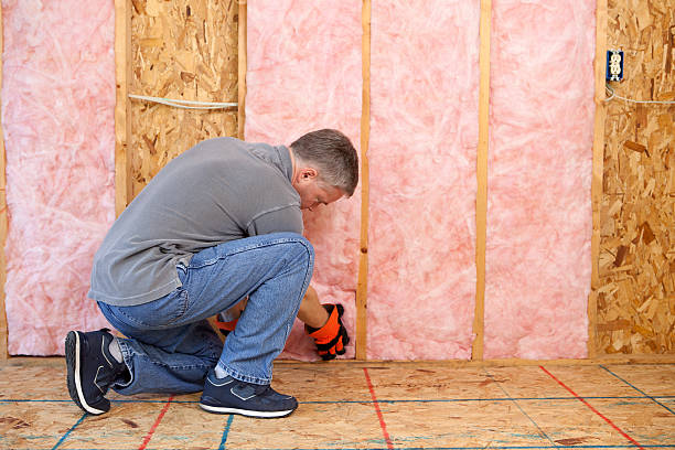 Types of Insulation We Offer in Caoncito, NM