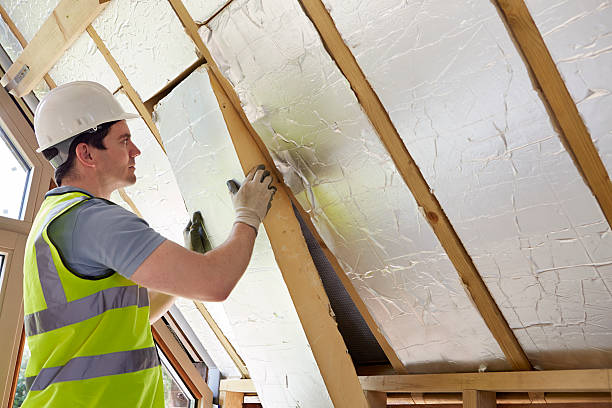 Best Insulation Maintenance and Repair in Caoncito, NM