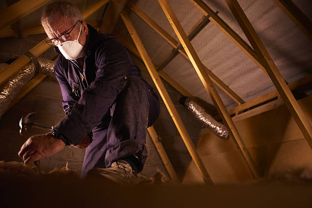 Best Commercial Insulation in Caoncito, NM